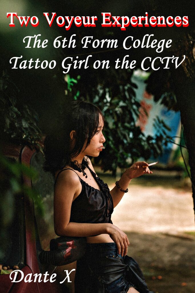 Two Voyeur Experiences