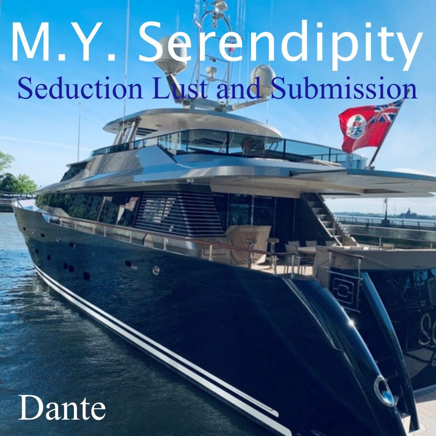 MY Serendipity Seduction Lust and Submission